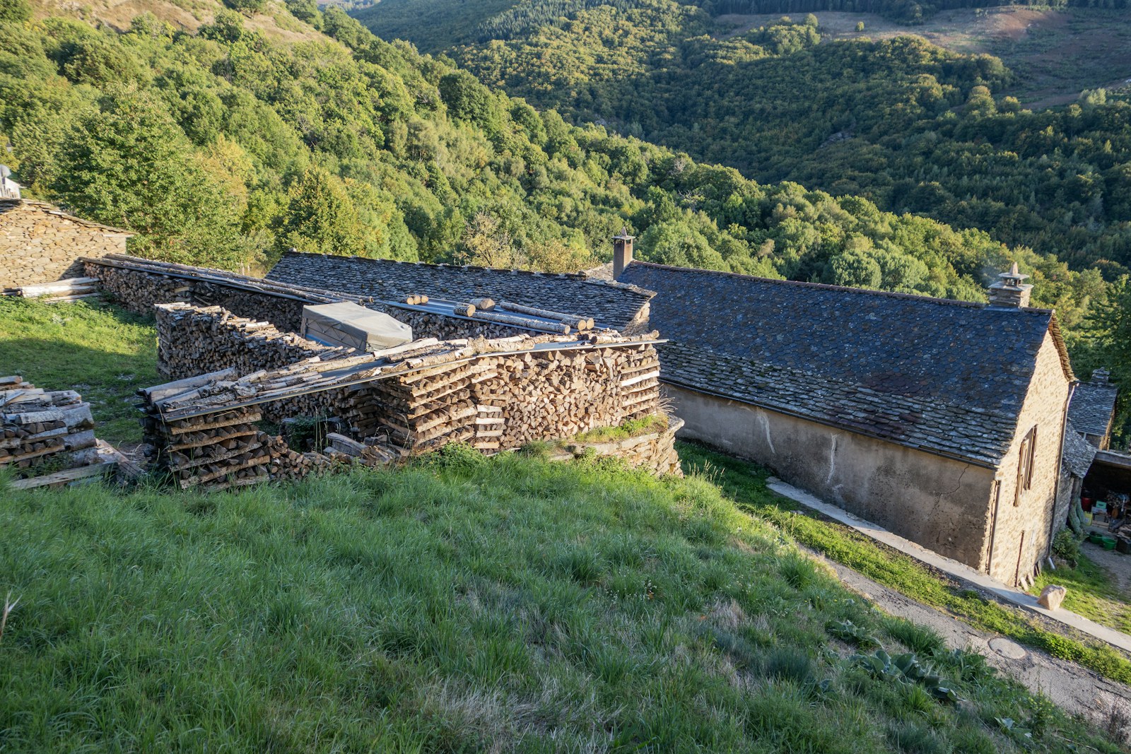 Paysage des Cévennes, snap wander